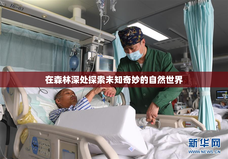 在森林深处探索未知奇妙的自然世界