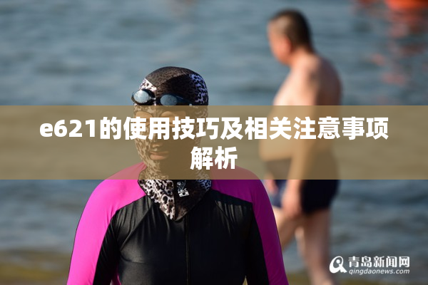e621的使用技巧及相关注意事项解析