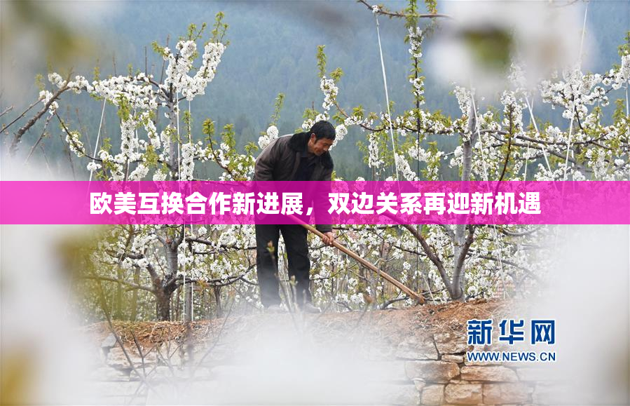 欧美互换合作新进展，双边关系再迎新机遇