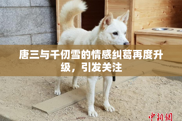 唐三与千仞雪的情感纠葛再度升级，引发关注