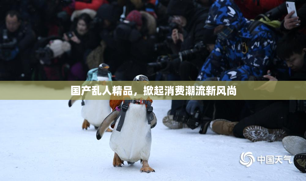 国产乱人精品，掀起消费潮流新风尚