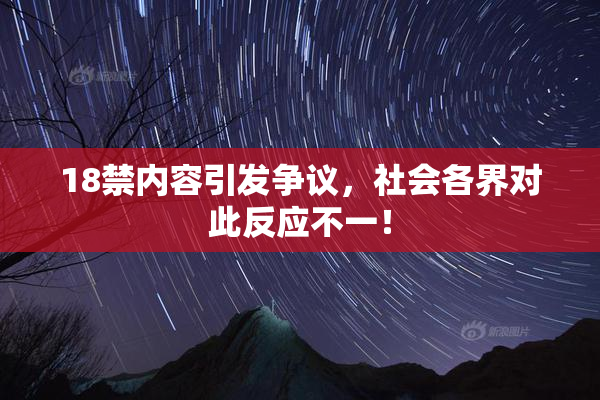 18禁内容引发争议，社会各界对此反应不一！