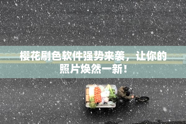 樱花刷色软件强势来袭，让你的照片焕然一新！