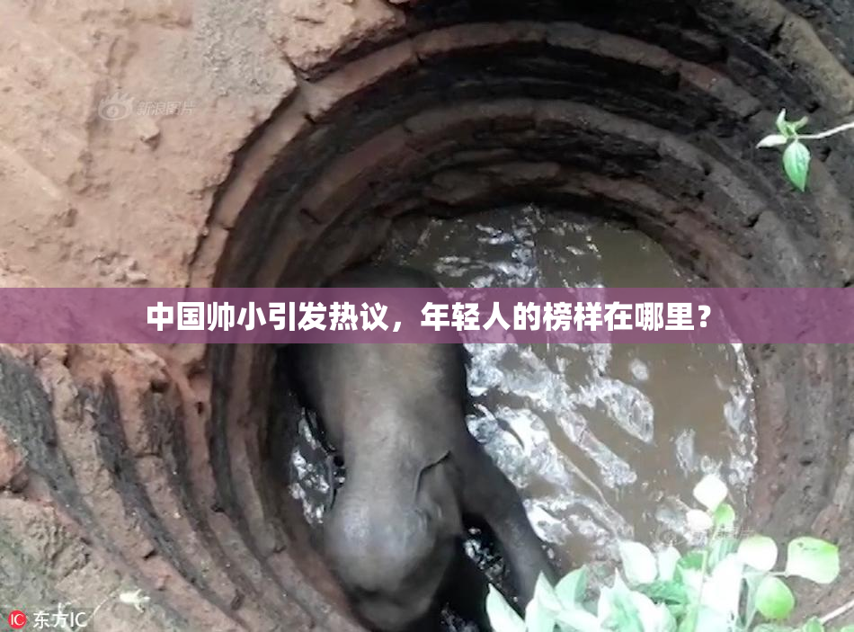 中国帅小引发热议，年轻人的榜样在哪里？