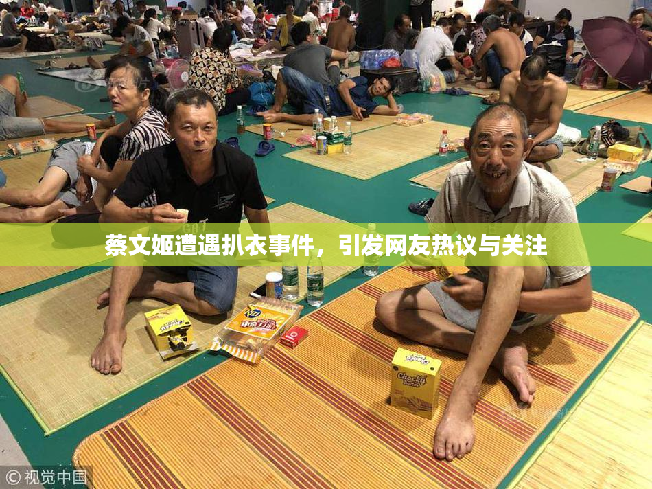蔡文姬遭遇扒衣事件，引发网友热议与关注
