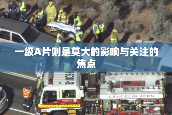 一级A片则是莫大的影响与关注的焦点