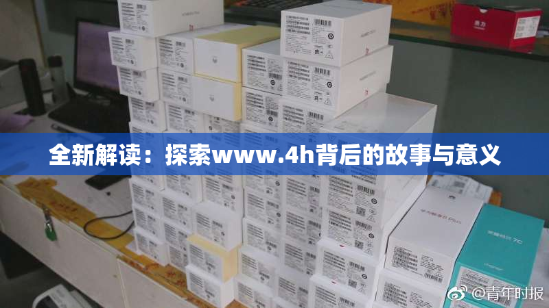 全新解读：探索www.4h背后的故事与意义