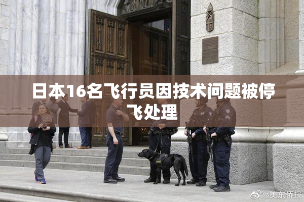 日本16名飞行员因技术问题被停飞处理