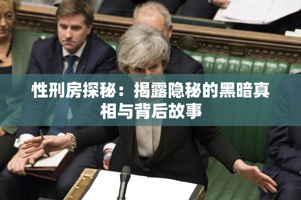 性刑房探秘：揭露隐秘的黑暗真相与背后故事
