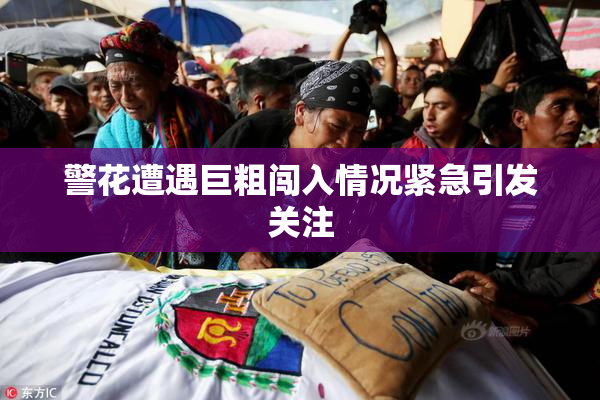 警花遭遇巨粗闯入情况紧急引发关注