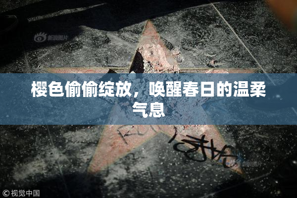樱色偷偷绽放，唤醒春日的温柔气息