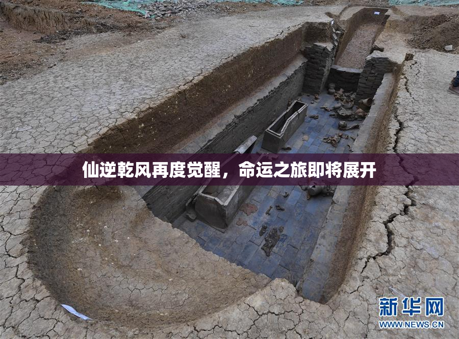 仙逆乾风再度觉醒，命运之旅即将展开