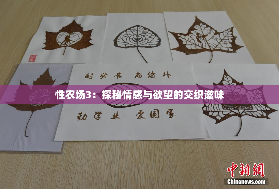 性农场3：探秘情感与欲望的交织滋味