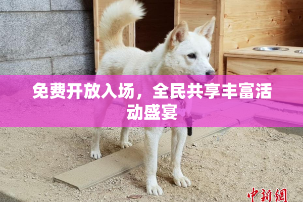 免费开放入场，全民共享丰富活动盛宴