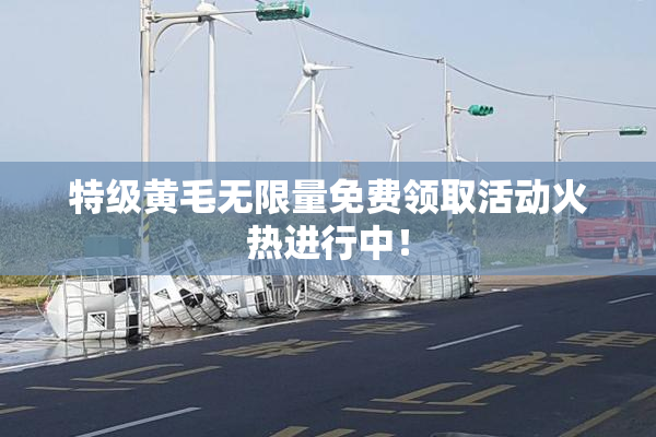 特级黄毛无限量免费领取活动火热进行中！