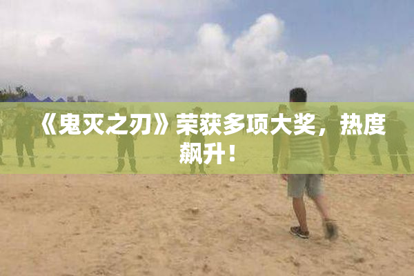 《鬼灭之刃》荣获多项大奖，热度飙升！