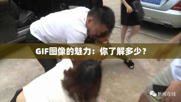 GIF图像的魅力：你了解多少？