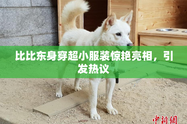 比比东身穿超小服装惊艳亮相，引发热议
