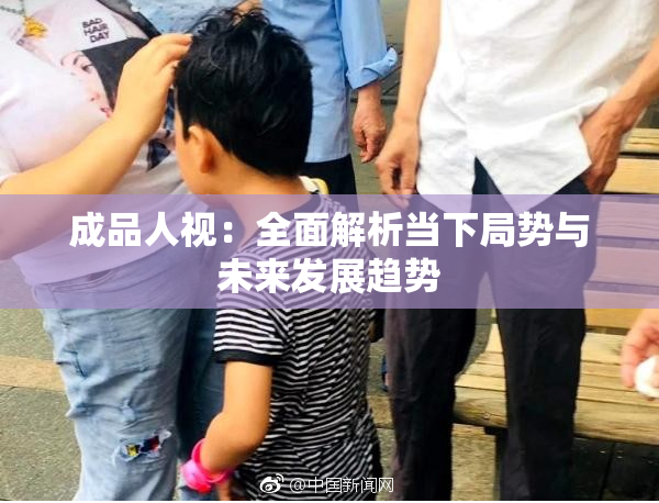 成品人视：全面解析当下局势与未来发展趋势