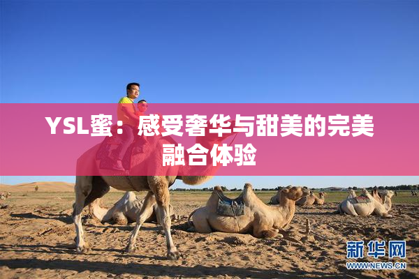 YSL蜜：感受奢华与甜美的完美融合体验