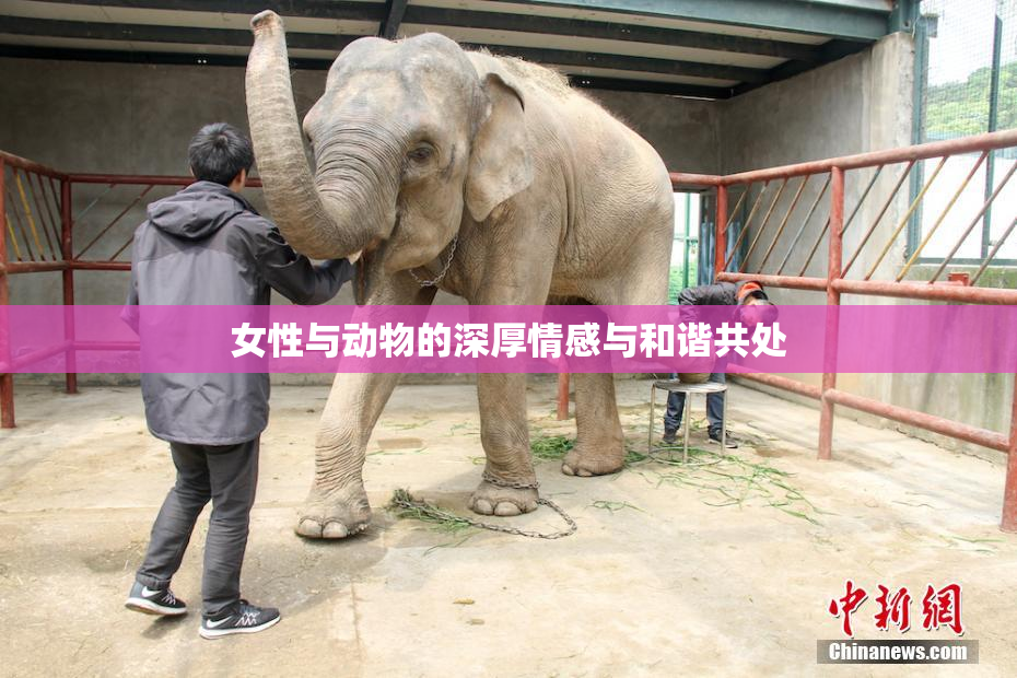 女性与动物的深厚情感与和谐共处