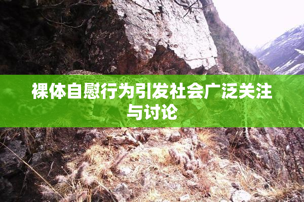 裸体自慰行为引发社会广泛关注与讨论