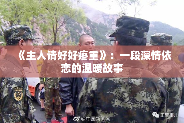 《主人请好好疼重》：一段深情依恋的温暖故事
