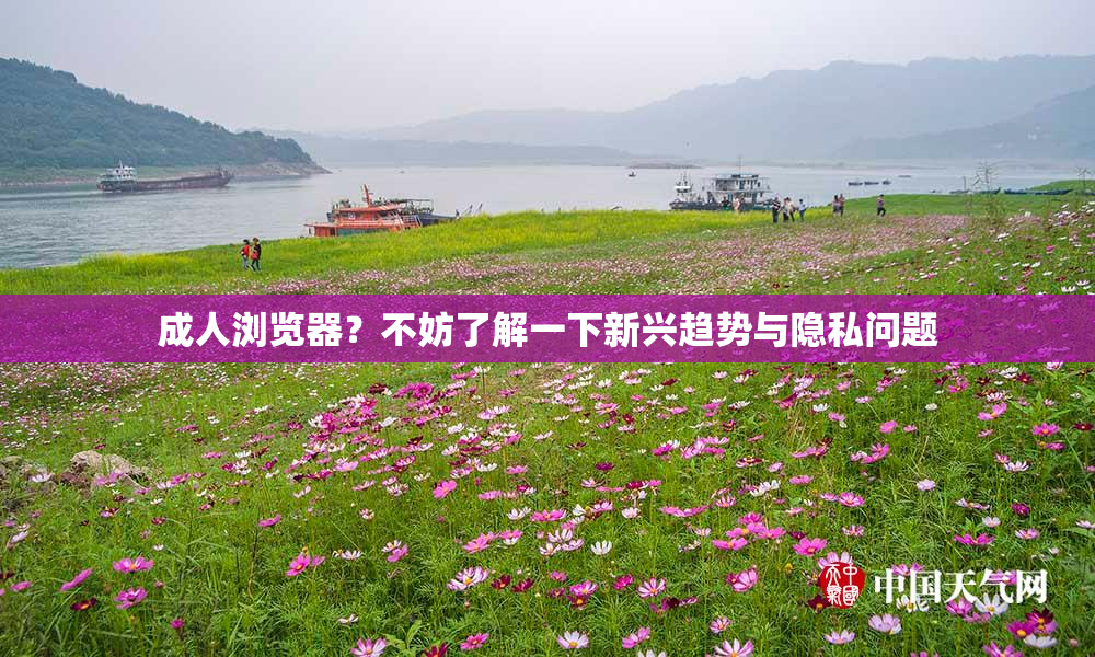 成人浏览器？不妨了解一下新兴趋势与隐私问题