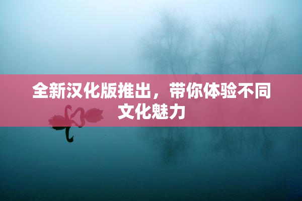 全新汉化版推出，带你体验不同文化魅力