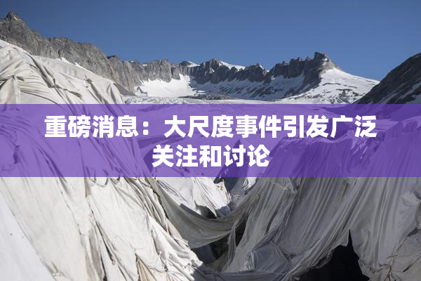 重磅消息：大尺度事件引发广泛关注和讨论