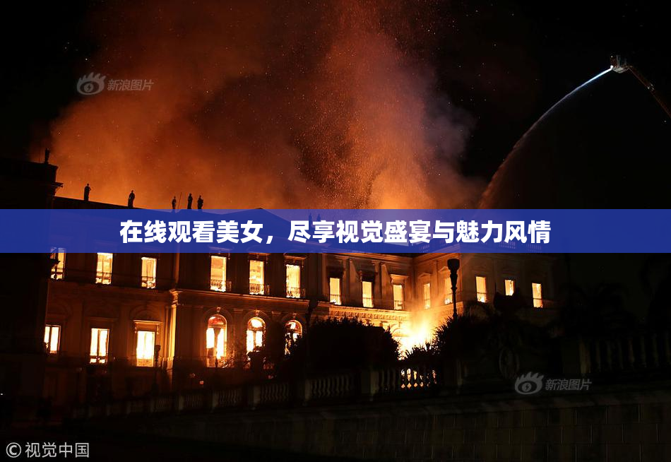 在线观看美女，尽享视觉盛宴与魅力风情