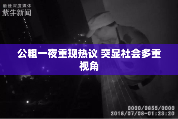公粗一夜重现热议 突显社会多重视角