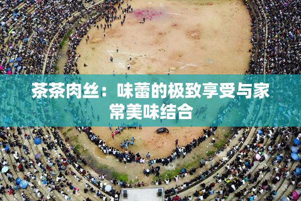 茶茶肉丝：味蕾的极致享受与家常美味结合