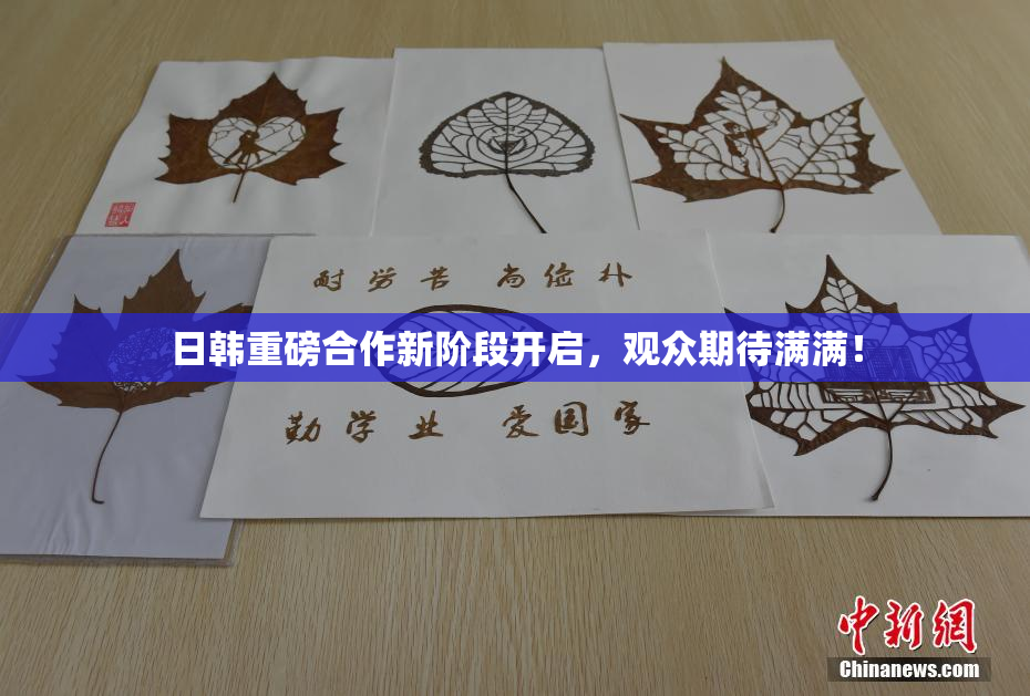 日韩重磅合作新阶段开启，观众期待满满！