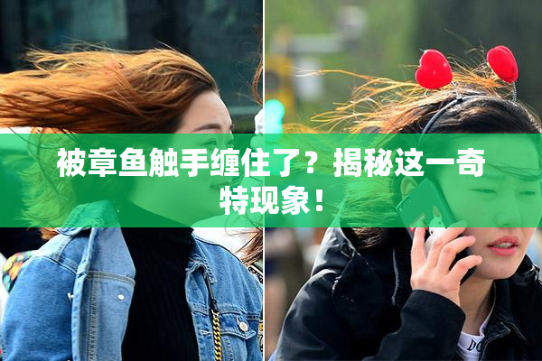 被章鱼触手缠住了？揭秘这一奇特现象！