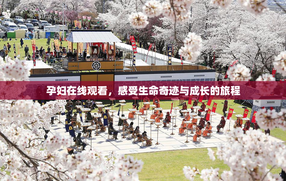 孕妇在线观看，感受生命奇迹与成长的旅程