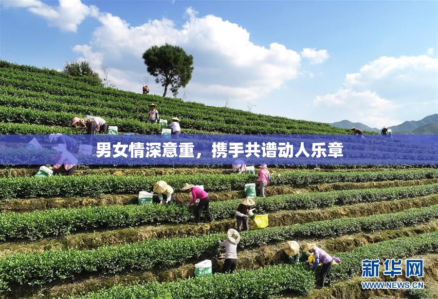 男女情深意重，携手共谱动人乐章