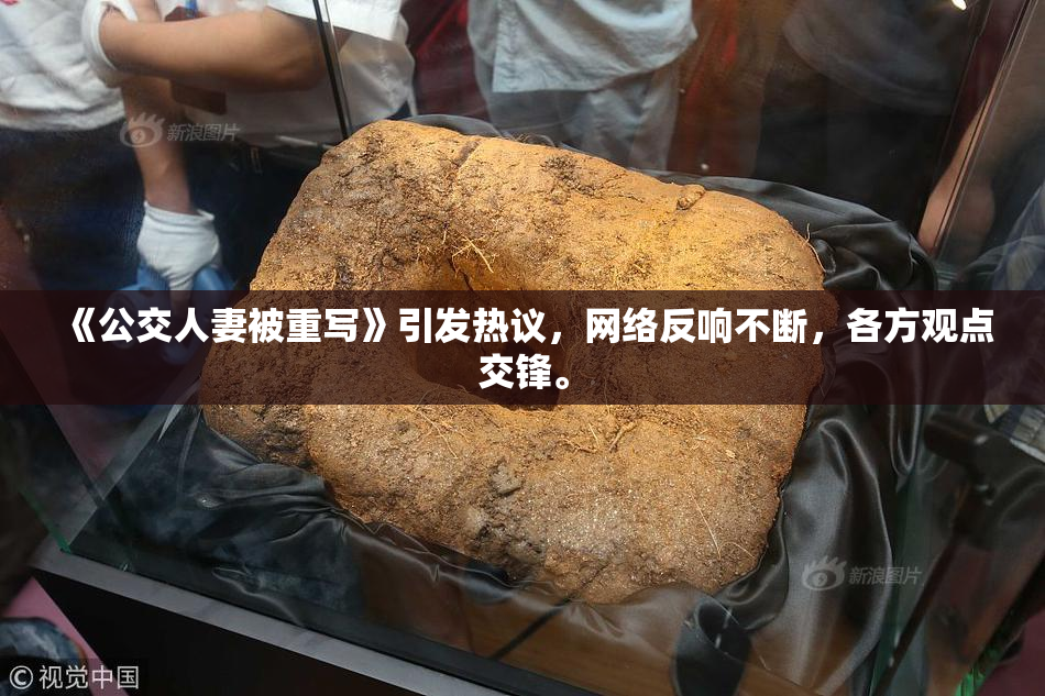 《公交人妻被重写》引发热议，网络反响不断，各方观点交锋。