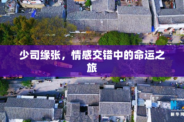 少司缘张，情感交错中的命运之旅