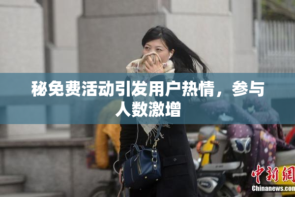 秘免费活动引发用户热情，参与人数激增