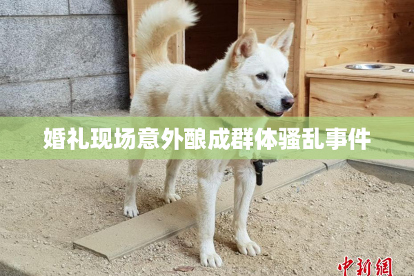 婚礼现场意外酿成群体骚乱事件