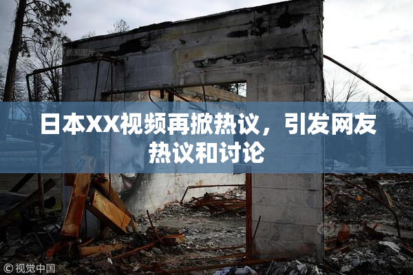 日本XX视频再掀热议，引发网友热议和讨论