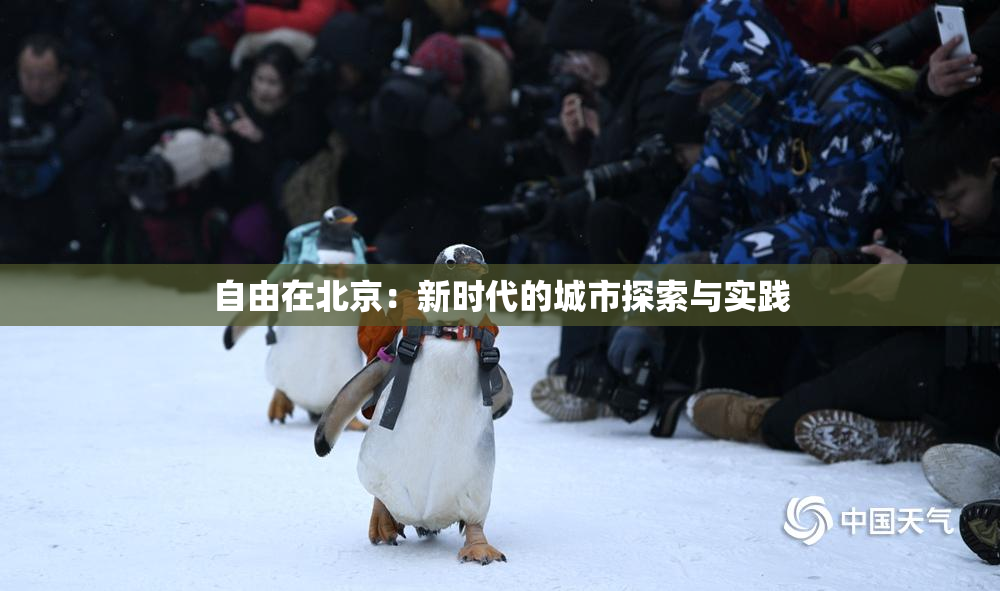 自由在北京：新时代的城市探索与实践