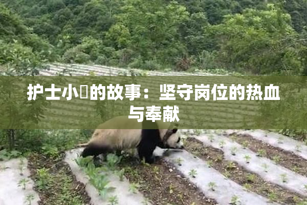 护士小婬的故事：坚守岗位的热血与奉献