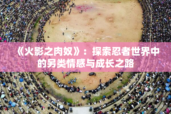 《火影之肉奴》：探索忍者世界中的另类情感与成长之路