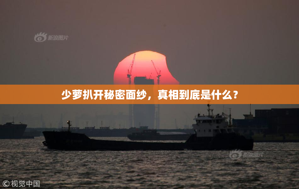 少萝扒开秘密面纱，真相到底是什么？