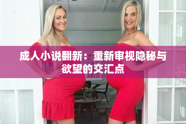 成人小说翻新：重新审视隐秘与欲望的交汇点