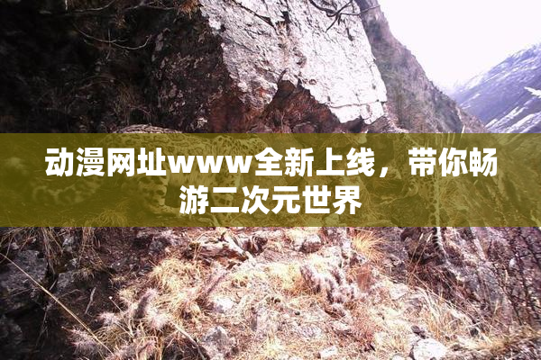 动漫网址www全新上线，带你畅游二次元世界