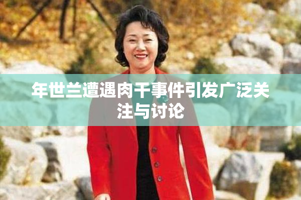 年世兰遭遇肉干事件引发广泛关注与讨论