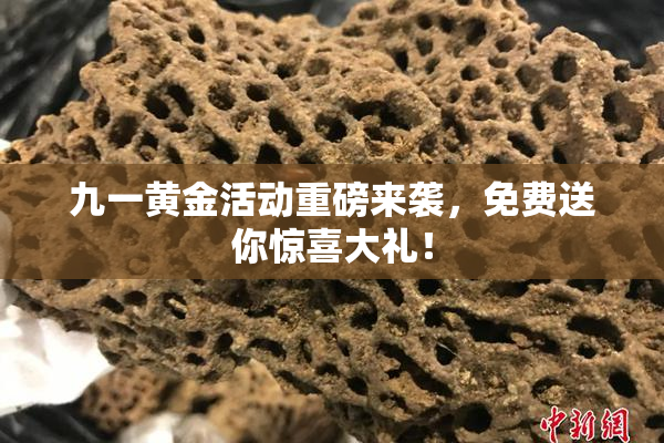 九一黄金活动重磅来袭，免费送你惊喜大礼！